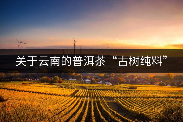 關于云南的普洱茶“古樹純料” 關于云南的普洱茶“古樹純料”