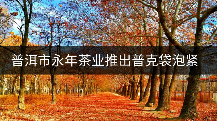普洱市永年茶業推出普克袋泡緊壓茶