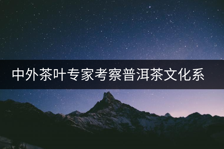 中外茶葉專家考察普洱茶文化系統 中外茶葉專家考察普洱茶文化系統