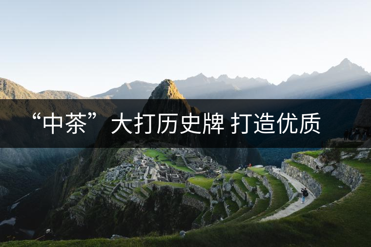 “中茶”大打歷史牌 打造優質普洱茶