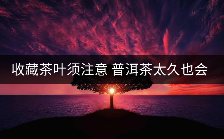 收藏茶葉須注意 普洱茶太久也會過期 收藏茶葉須注意 普洱茶太久也會過期