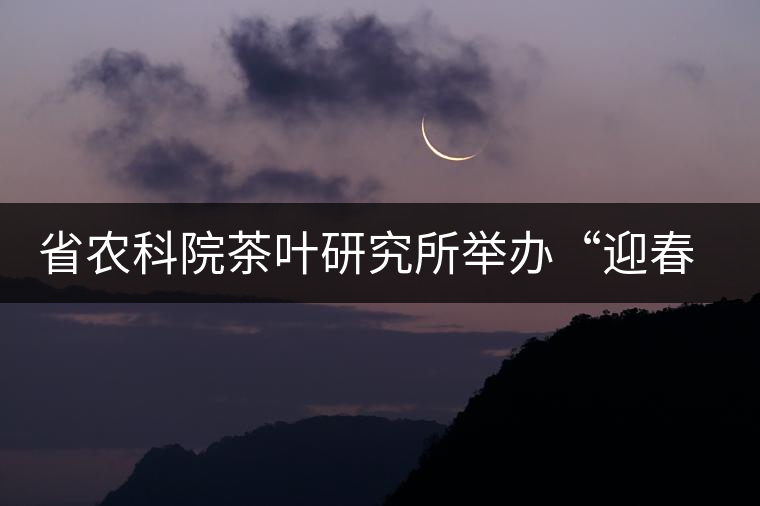 省農科院茶葉研究所舉辦“迎春節、慶元旦”籃球聯誼賽