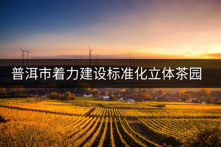 普洱市著力建設標準化立體茶園示范區