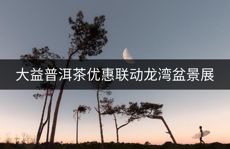大益普洱茶優惠聯動龍灣盆景展 大益普洱茶優惠聯動龍灣盆景展