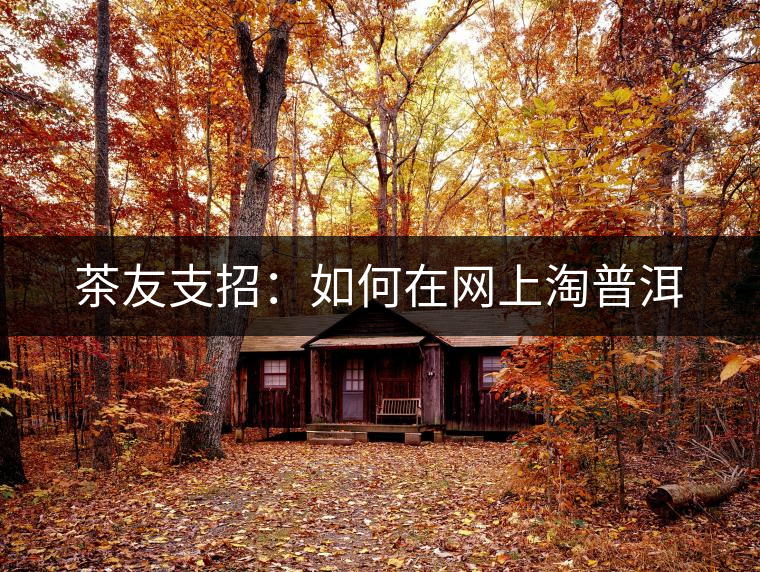 茶友支招：如何在網(wǎng)上淘普洱