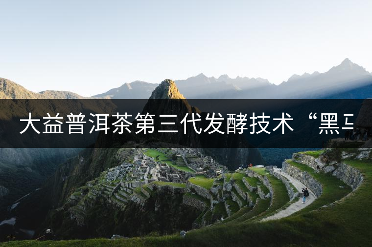 大益普洱茶第三代發酵技術“黑馬”