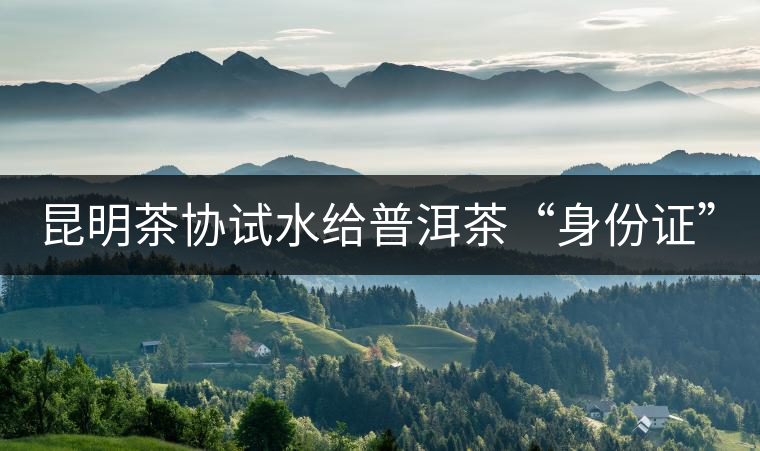昆明茶協試水給普洱茶“身份證”