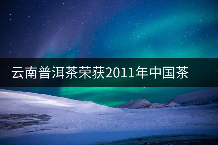 云南普洱茶榮獲2011年中國茶葉區域公用品牌價值評選第四名 云南普洱茶榮獲2011年中國茶葉區域公用品牌價值評選第四名