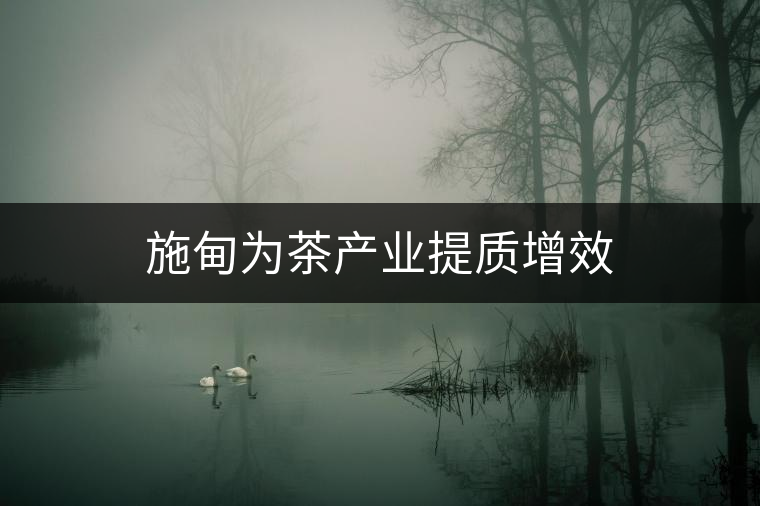 施甸為茶產業提質增效