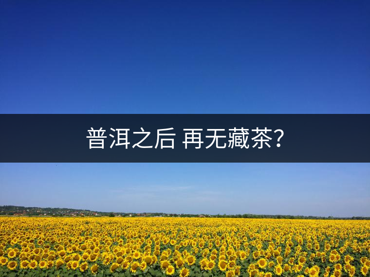普洱之后 再無藏茶? 普洱之后 再無藏茶?