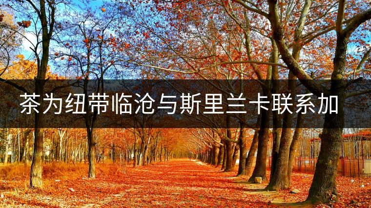 茶為紐帶臨滄與斯里蘭卡聯系加深