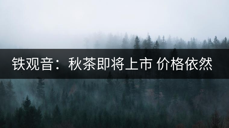 鐵觀音:秋茶即將上市 價格依然高漲 鐵觀音:秋茶即將上市 價格依然高漲