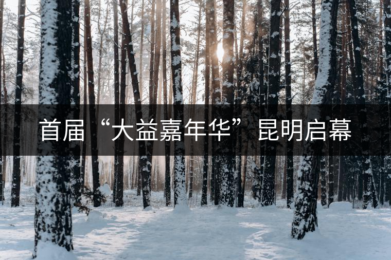 首屆“大益嘉年華”昆明啟幕