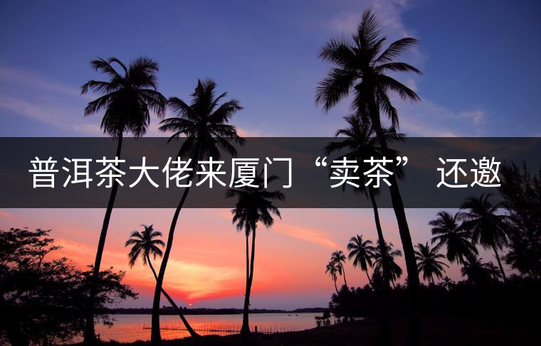 普洱茶大佬來廈門“賣茶” 還邀請證券分析師助陣 普洱茶大佬來廈門“賣茶” 還邀請證券分析師助陣