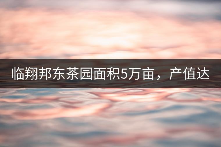 臨翔邦東茶園面積5萬畝,產值達8000萬以上 臨翔邦東茶園面積5萬畝,產值達8000萬以上