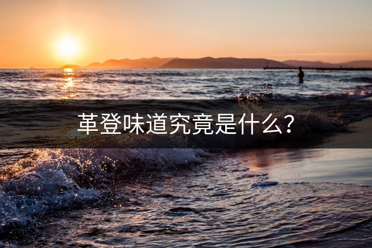 革登味道究竟是什么? 革登味道究竟是什么?