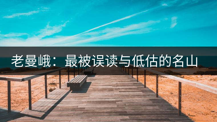 老曼峨：最被誤讀與低估的名山茶