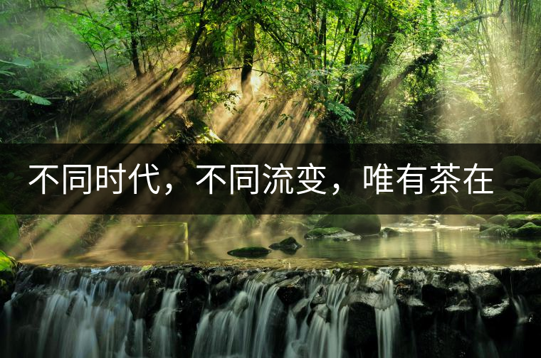 不同時代，不同流變，唯有茶在傳承