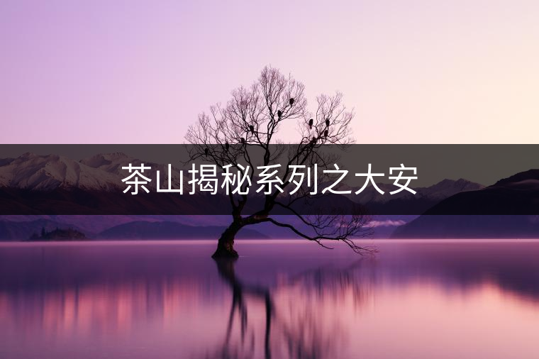 茶山揭秘系列之大安 茶山揭秘系列之大安