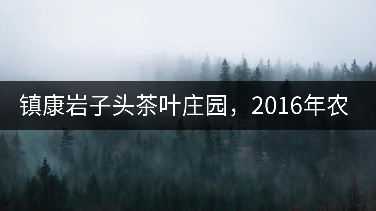 鎮康巖子頭茶葉莊園,2016年農業產值達6000余萬元 鎮康巖子頭茶葉莊園,2016年農業產值達6000余萬元