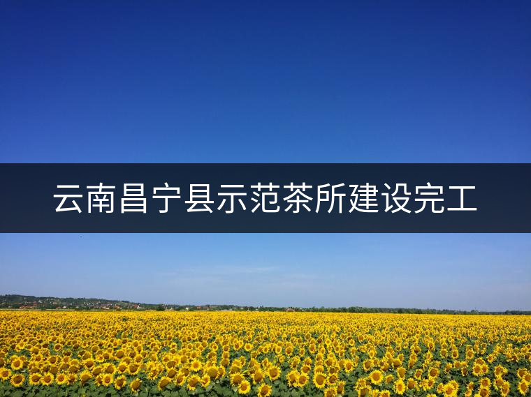 云南昌寧縣示范茶所建設完工