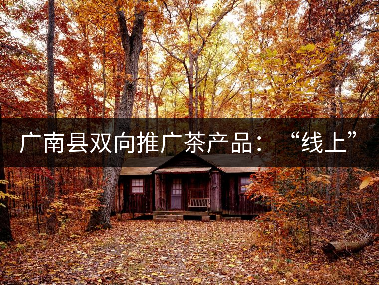 廣南縣雙向推廣茶產品:“線上”銷售茶葉已有100多家,“線下”銷售額已達百萬 廣南縣雙向推廣茶產品:“線上”銷售茶葉已有100多家,“線下”銷售額已達百萬
