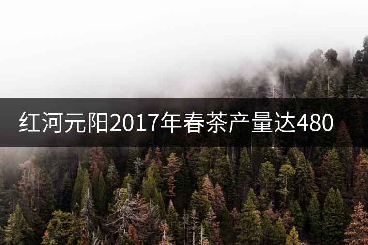 紅河元陽2017年春茶產量達480噸,產值近900萬元 紅河元陽2017年春茶產量達480噸,產值近900萬元