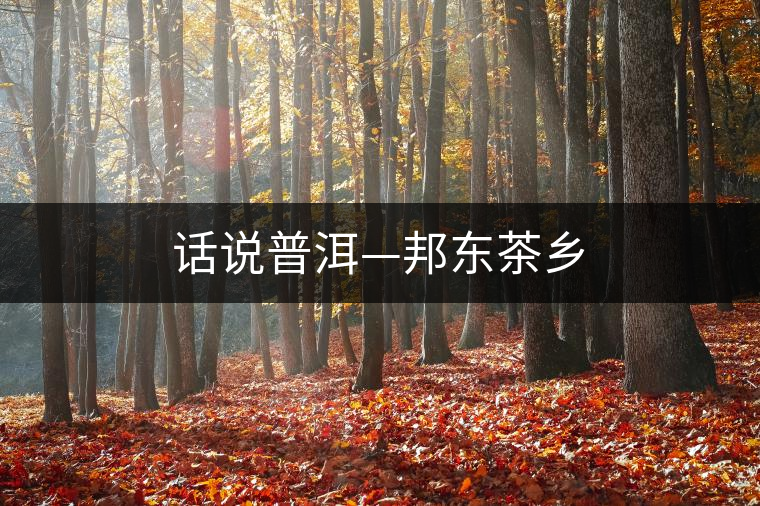 話說普洱—邦東茶鄉 話說普洱—邦東茶鄉