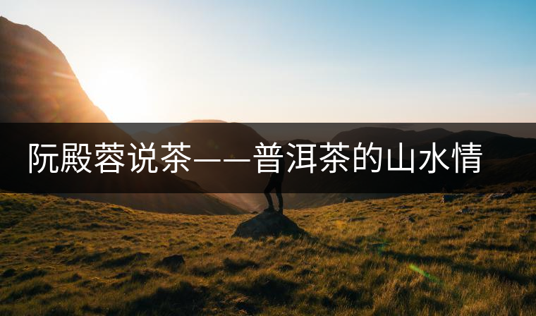 阮殿蓉說茶——普洱茶的山水情結