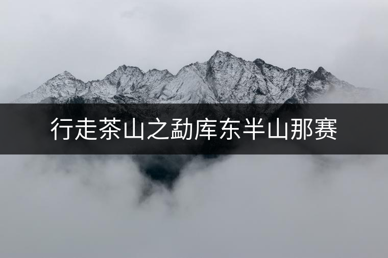 行走茶山之勐庫(kù)東半山那賽