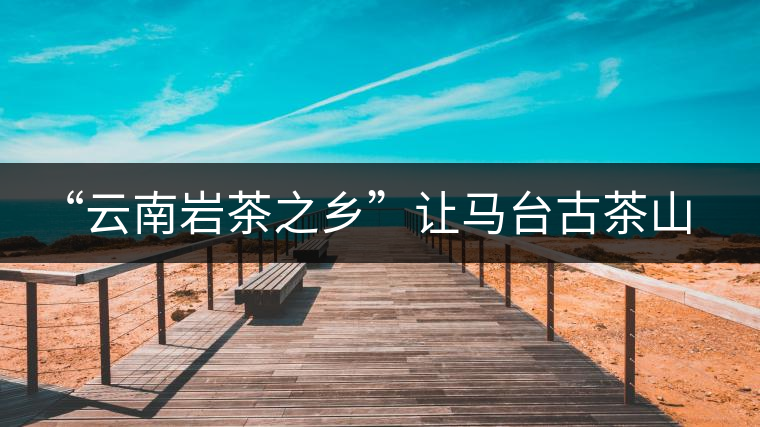 “云南巖茶之鄉”讓馬臺古茶山春暖花開