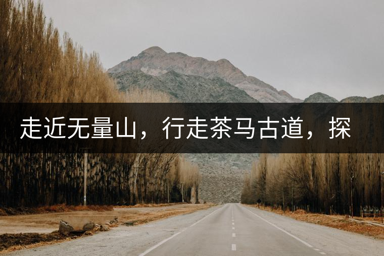 走近無量山，行走茶馬古道，探訪云南千年茶山