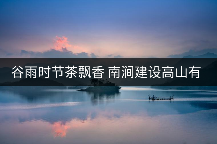 谷雨時節茶飄香 南澗建設高山有機茶葉生產基地 谷雨時節茶飄香 南澗建設高山有機茶葉生產基地
