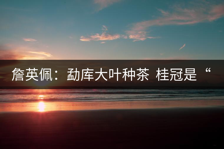 詹英佩:勐庫大葉種茶 桂冠是“正宗” 詹英佩:勐庫大葉種茶 桂冠是“正宗”