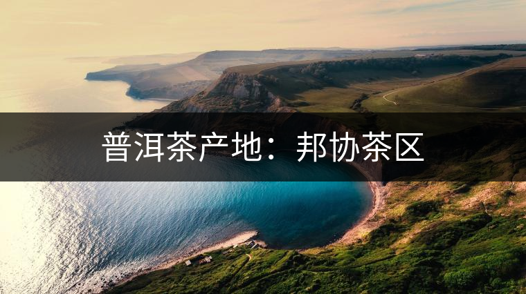 普洱茶產地：邦協茶區