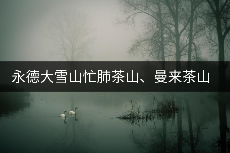 永德大雪山忙肺茶山、曼來茶山、放牛場茶園的生態指數