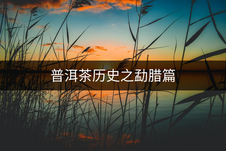 普洱茶歷史之勐臘篇 普洱茶歷史之勐臘篇