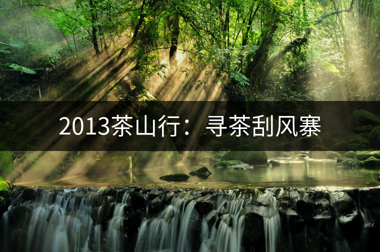 2013茶山行:尋茶刮風寨 2013茶山行:尋茶刮風寨