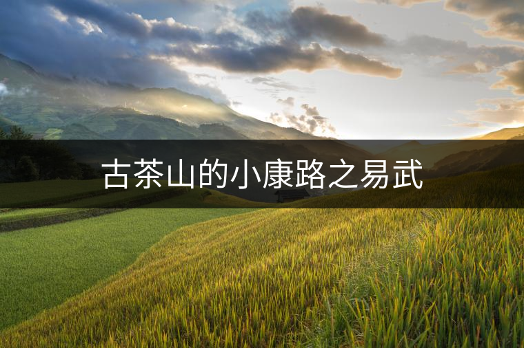 古茶山的小康路之易武 古茶山的小康路之易武