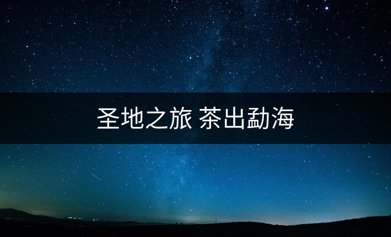 圣地之旅 茶出勐海 圣地之旅 茶出勐海