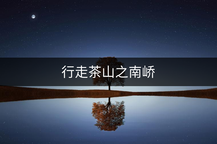 行走茶山之南嶠