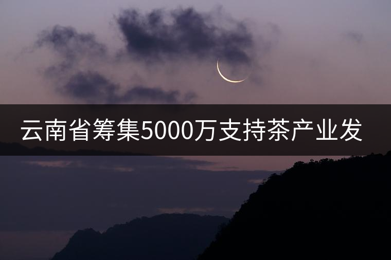 云南省籌集5000萬支持茶產業發展 云南省籌集5000萬支持茶產業發展