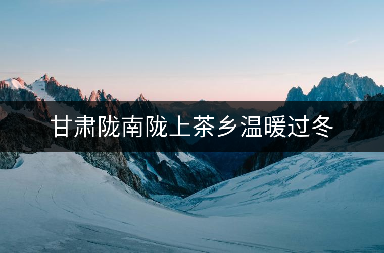 甘肅隴南隴上茶鄉溫暖過冬