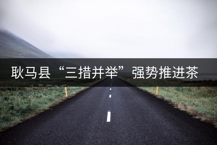 耿馬縣“三措并舉”強勢推進茶葉產業的發展