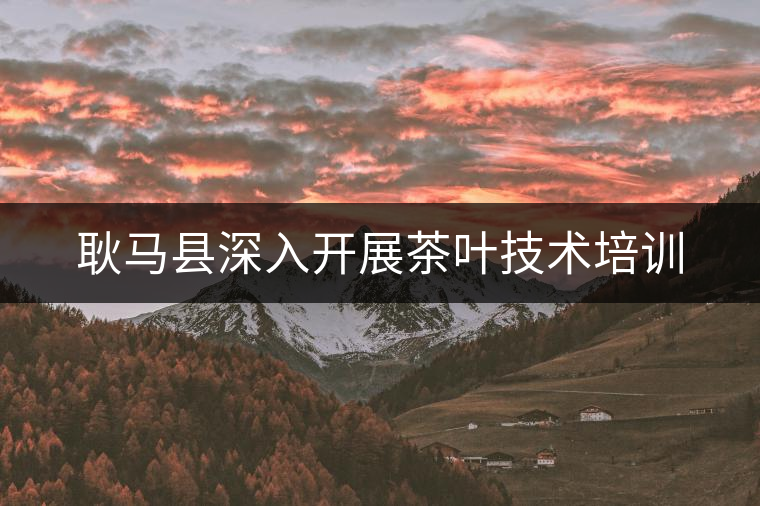 耿馬縣深入開展茶葉技術培訓 耿馬縣深入開展茶葉技術培訓