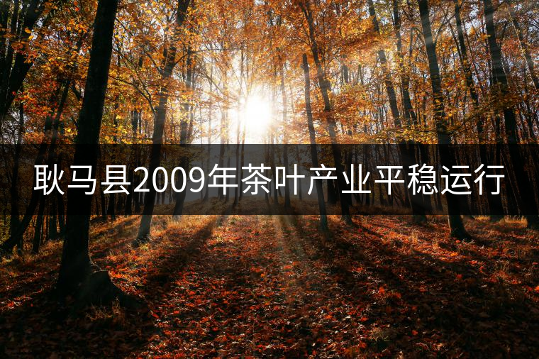 耿馬縣2009年茶葉產業平穩運行 耿馬縣2009年茶葉產業平穩運行