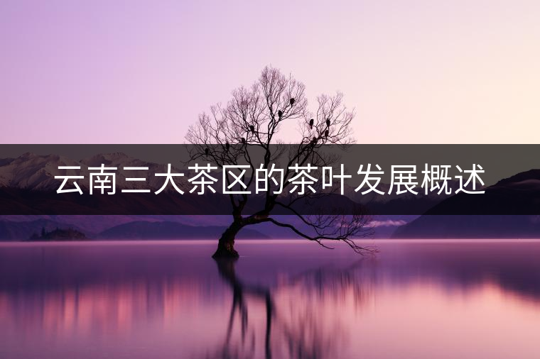 云南三大茶區的茶葉發展概述 云南三大茶區的茶葉發展概述