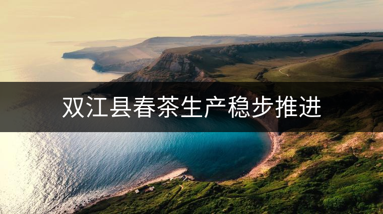 雙江縣春茶生產穩(wěn)步推進 雙江縣春茶生產穩(wěn)步推進