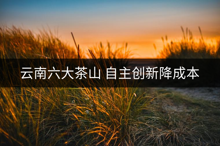 云南六大茶山 自主創新降成本