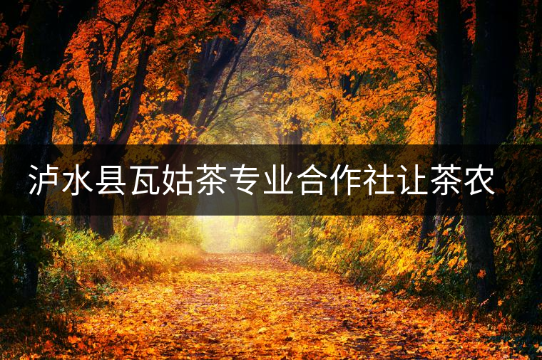 瀘水縣瓦姑茶專業合作社讓茶農走上致富路